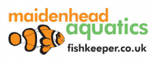 Maidenhead Aquatics