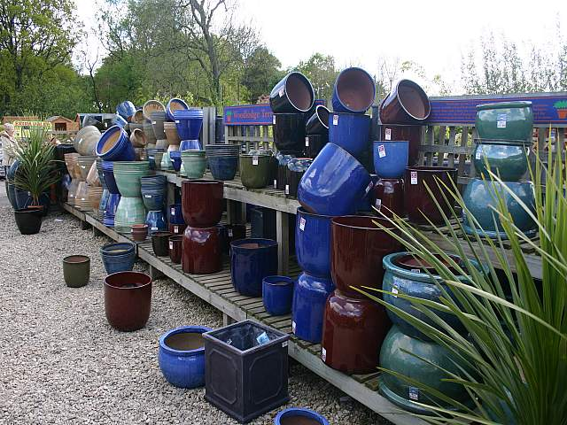 Outdoor plants and pots