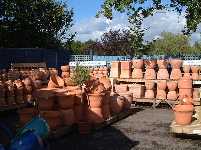 Outdoor plants and pots